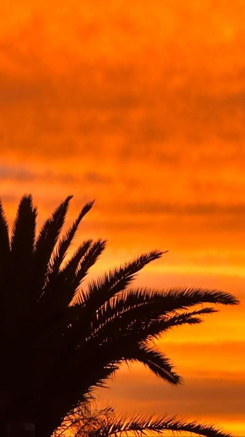Ocean View Apartment With Large Terrace And Netflix Smart Tv Costa Adeje エクステリア 写真